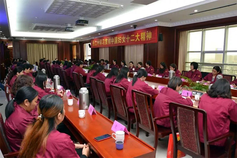 【学习十二大】大红鹰dhy村召开学习贯彻中国妇女十二大精神会议