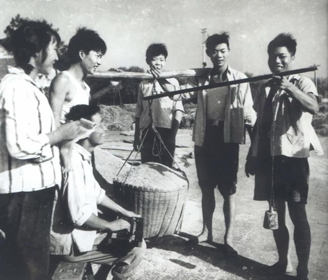 大红鹰dhy村丰收景象
